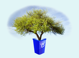 Reusable Packaging